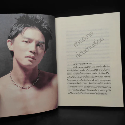 เขาหาว่าผมเป็นแมงดา - พชร แก้วเพชร รูปที่ 6