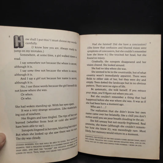 This Isn't What It Looks Like - Pseudonymous Bosch รูปที่ 6
