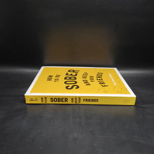 How to be Sober and Keep Your Friends รูปที่ 3