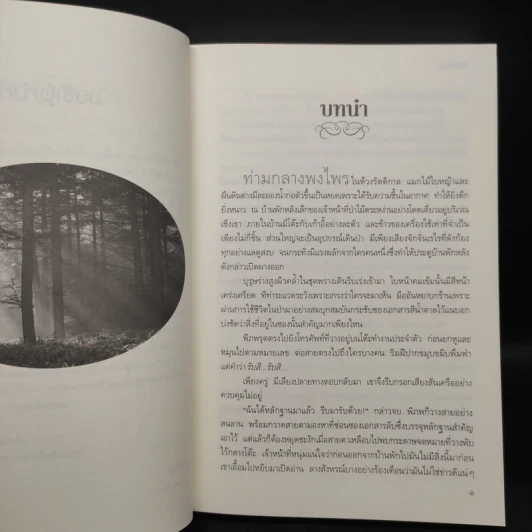 หัวใจปฐพี - ปิ่นเพชร รูปที่ 6