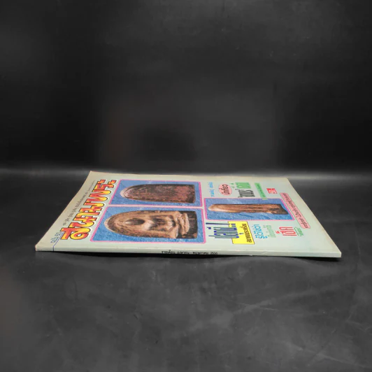 สนามพระ ฉบับ 60 รูปที่ 3