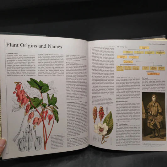 GARDENERS' ENCYCLOPEDIA OF PLANTS AND FLOWERS รูปที่ 7
