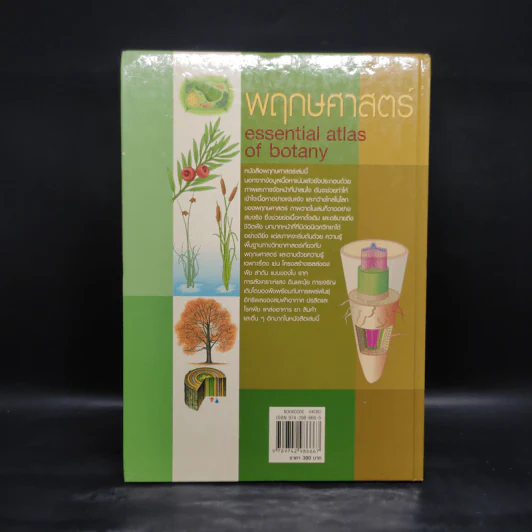 พฤกษศาสตร์ Essential Atlas of Botany รูปที่ 2