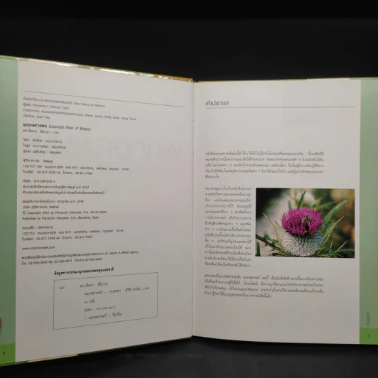 พฤกษศาสตร์ Essential Atlas of Botany รูปที่ 5