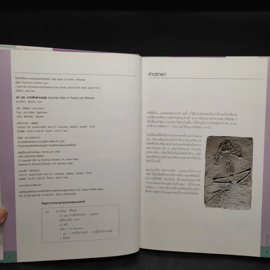 แร่ และซากดึกดำบรรพ์ Essential Atlas of Fossils and Minerals รูปที่ 5