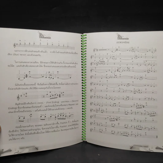 เทคนิคไวโอลิน Violin Technic รูปที่ 7