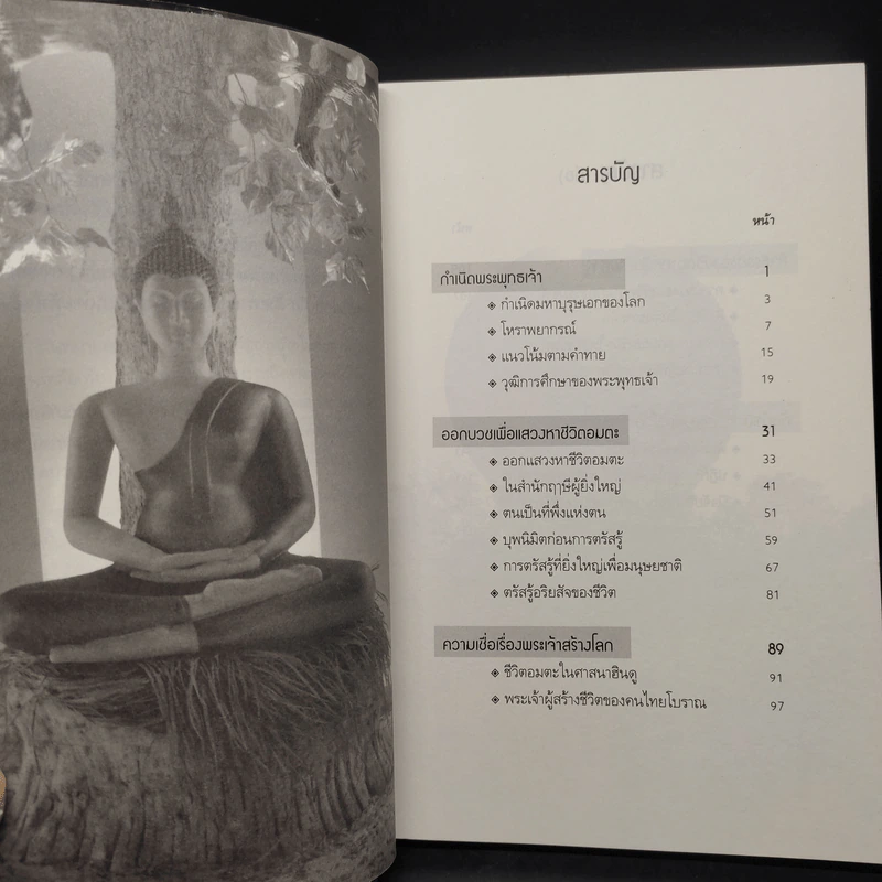 พระพุทธเจ้าเปิดโลก - ดร.จรูญ วรรณกสิณานนท์ รูปที่ 6