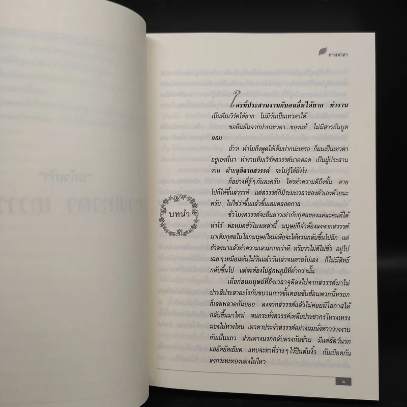 ทางเทวดา-เทวาวาด - แก้วเก้า รูปที่ 6