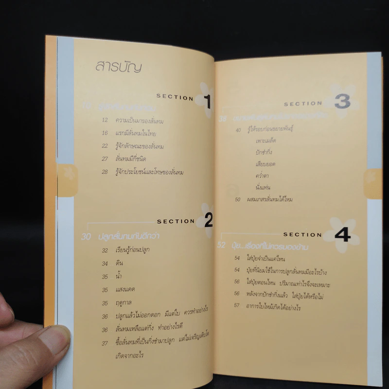 มือใหม่หัดปลูก ลั่นทม - สุปรียา จันทะเหลา รูปที่ 6