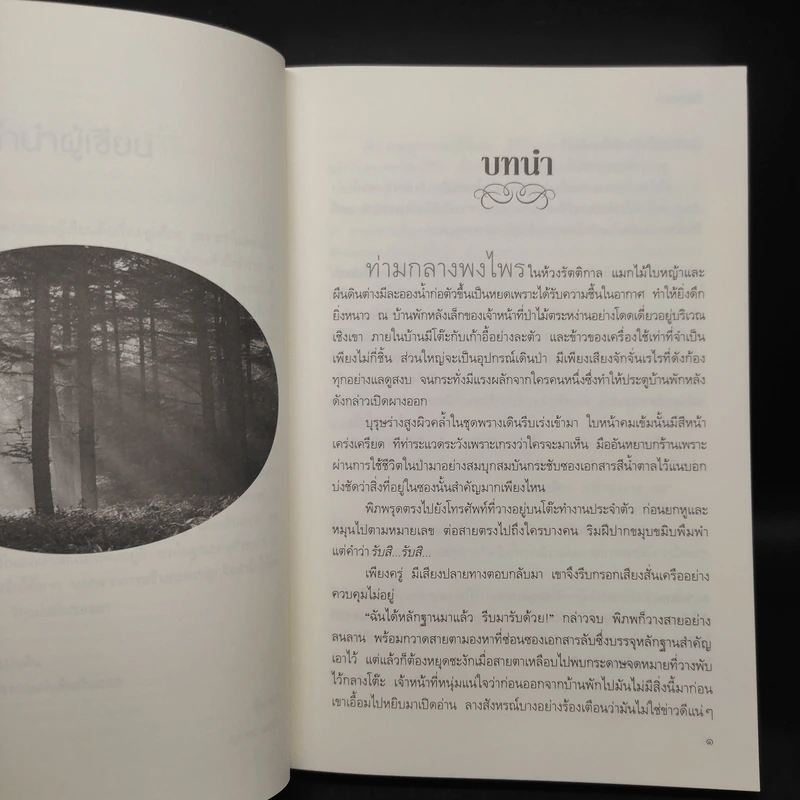 หัวใจปฐพี - ปิ่นเพชร รูปที่ 6