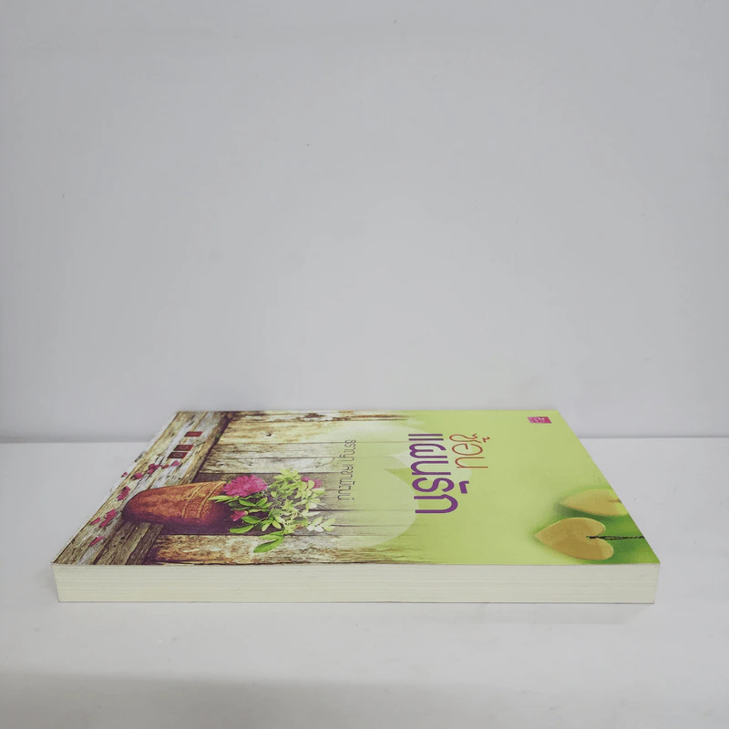 ซ้อนแผนรัก - ธราญา เลขาพัฒน์ รูปที่ 3