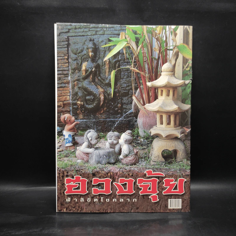 ดิน น้ำ ลม ไฟ ฮวงจุ้ย ฟ้าลิขิตโชคลาภ เดือนพฤษภาคม รูปที่ 2