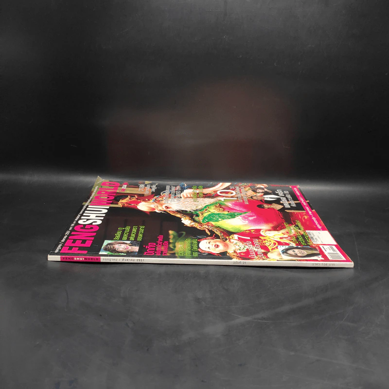 Feng Shui World โลกฮวงจุ้ย ก.ค./ส.ค. 2551 รูปที่ 3