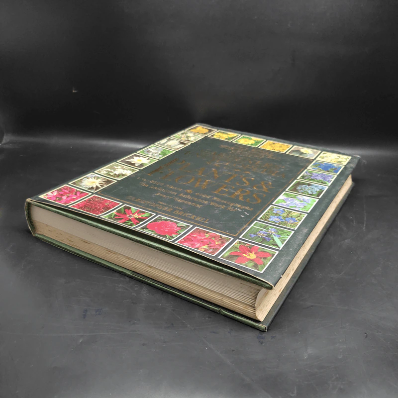 GARDENERS' ENCYCLOPEDIA OF PLANTS AND FLOWERS รูปที่ 4