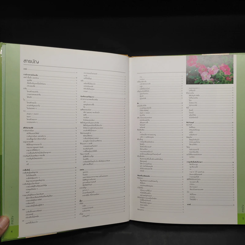พฤกษศาสตร์ Essential Atlas of Botany รูปที่ 6