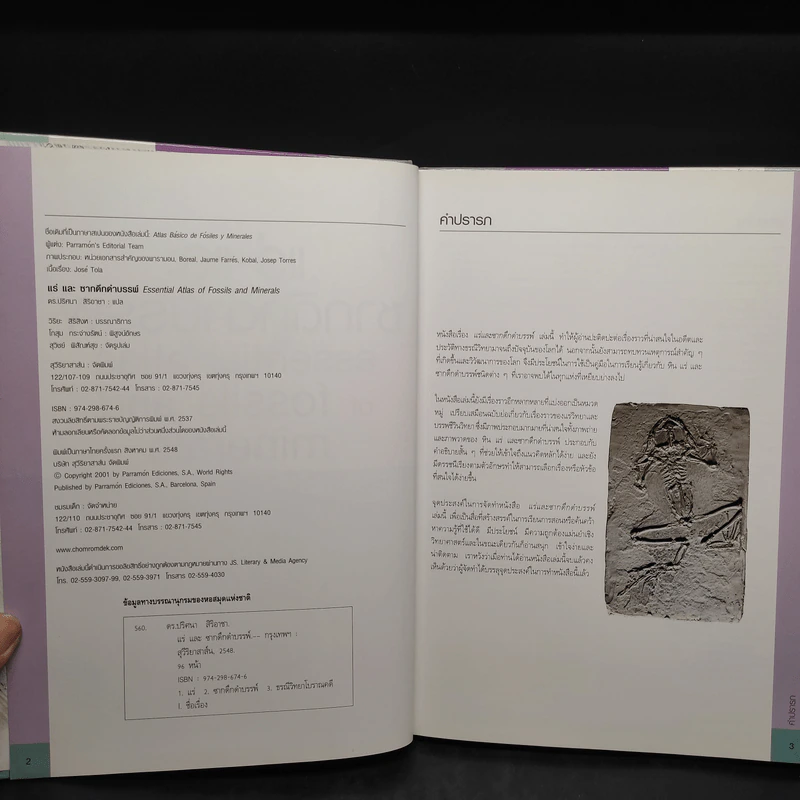 แร่ และซากดึกดำบรรพ์ Essential Atlas of Fossils and Minerals รูปที่ 5