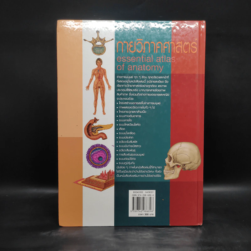 กายวิภาคศาสตร์ Essential Atlas of Anatomy รูปที่ 2
