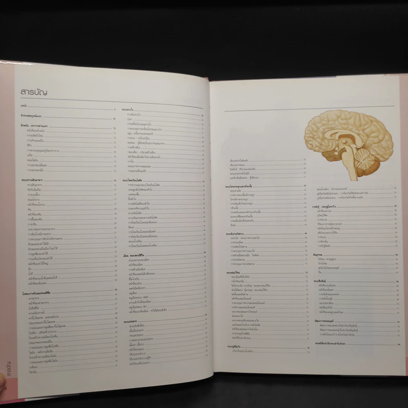 สรีรวิทยา Essential Atlas of Physiology รูปที่ 6