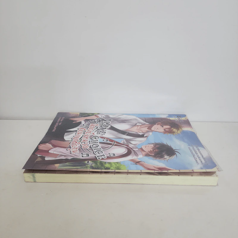 นิยายวาย Love Choice ล็อกเป้าหมายรักนายเด็กทุน - May -Twin รูปที่ 3