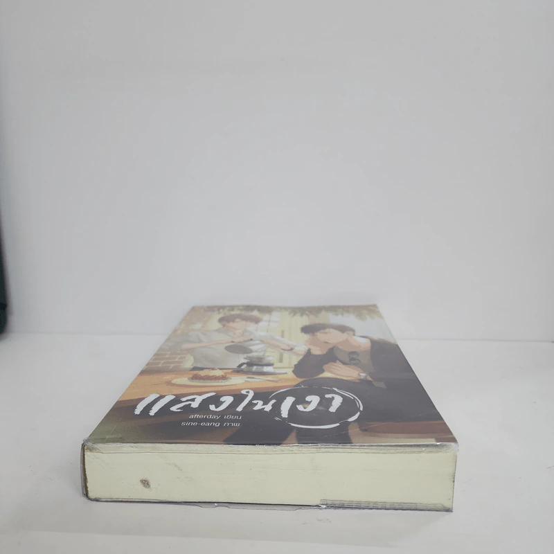 นิยายวาย แสงในเงา - Afterday รูปที่ 5