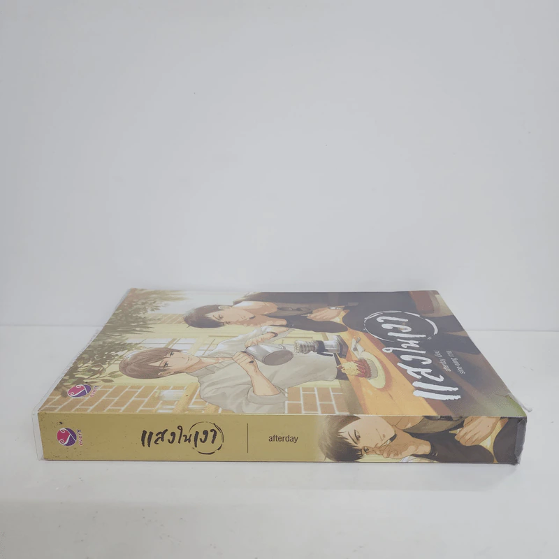 นิยายวาย แสงในเงา - Afterday รูปที่ 2