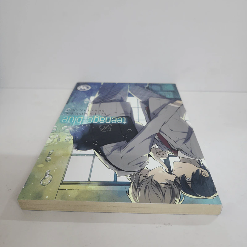 นิยายวาย Teenage Blue - Kei Tsukimura (เคย์ สึคิมุระ) รูปที่ 4