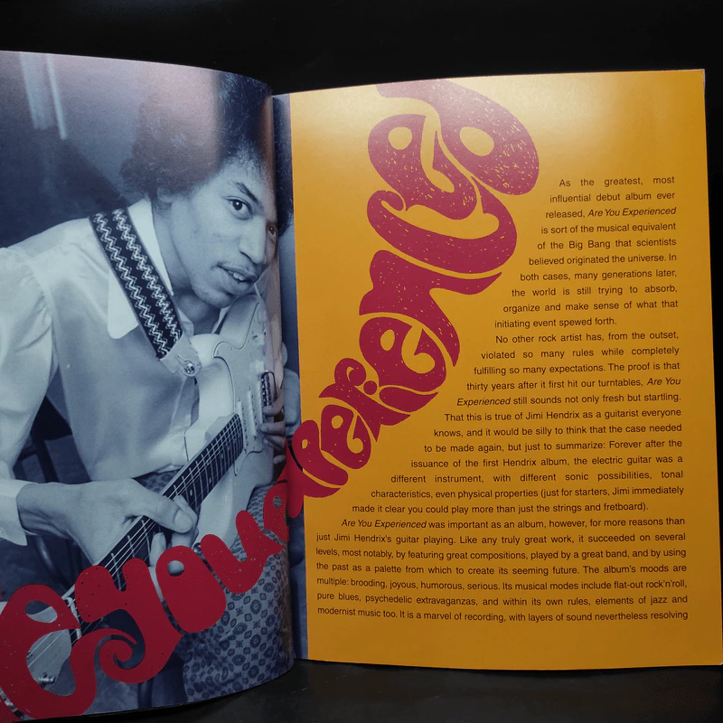 Jimi Hendrix – Are You Experienced รูปที่ 6