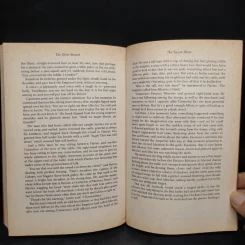 The Eagle - Rosemary Sutcliff รูปที่ 6