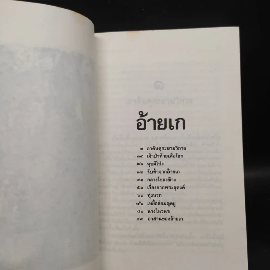 ล่องไพร อ้ายเกและงาดำ - น้อย อินทนนท์ รูปที่ 6