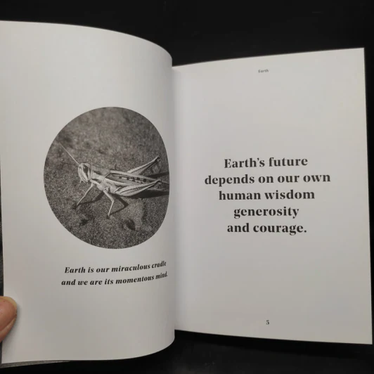 Planet Earth - Bob Brown รูปที่ 7