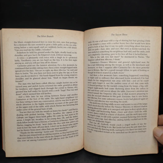 The Eagle - Rosemary Sutcliff รูปที่ 6