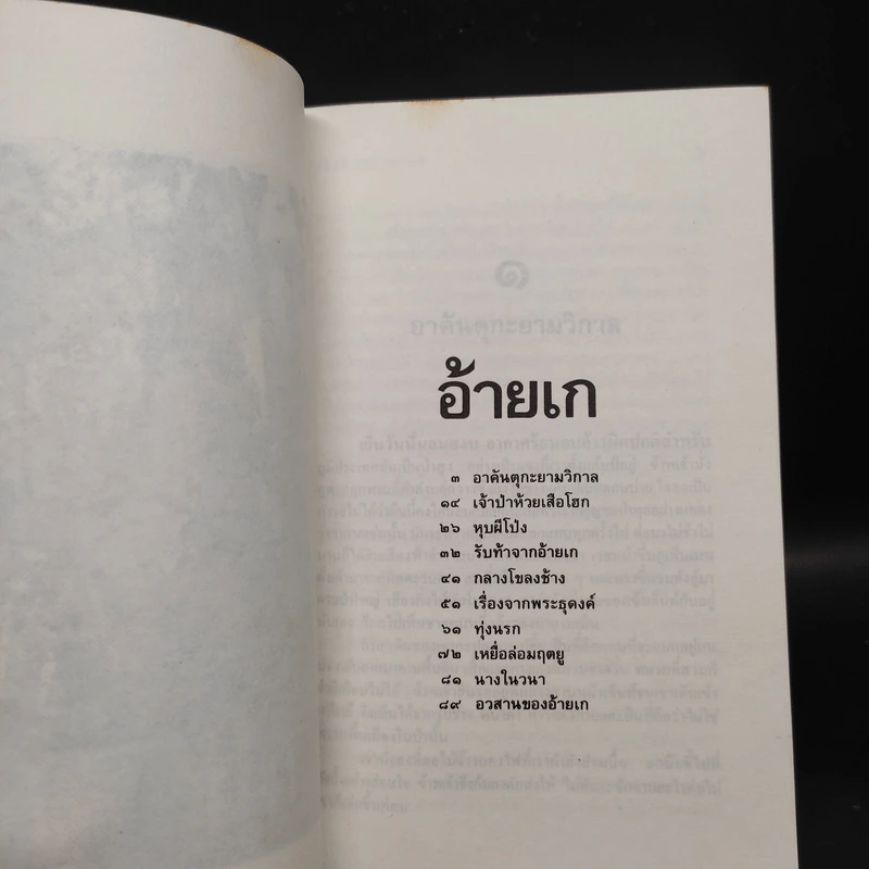 ล่องไพร อ้ายเกและงาดำ - น้อย อินทนนท์ รูปที่ 6