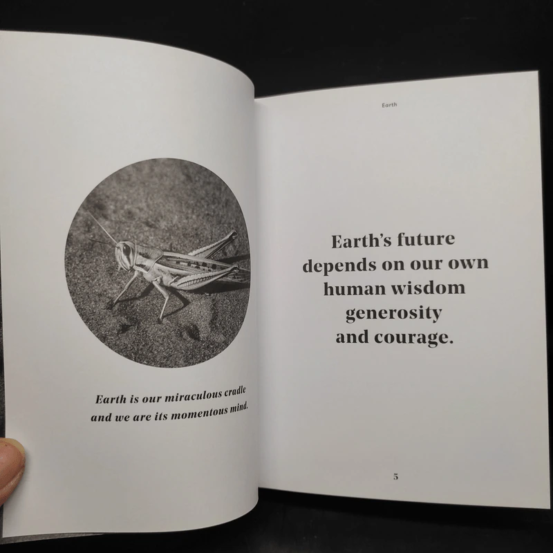 Planet Earth - Bob Brown รูปที่ 7