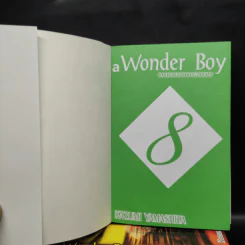 A Wonder Boy หนุ่มน้อยทะลุมิติ เล่ม 1-8 รูปที่ 5