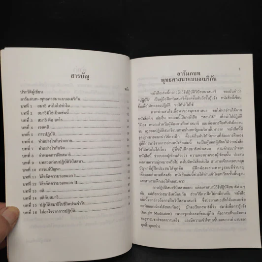 สติด้วยภาษาง่ายๆ - ภันเต คุณารัตนา มหาเถระ รูปที่ 6