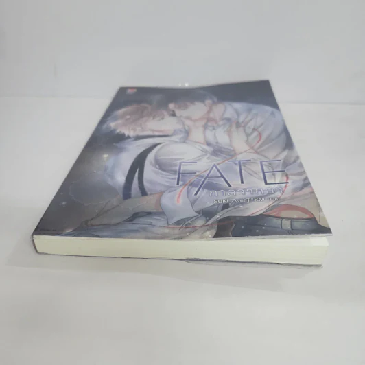 นิยายวาย Fate กาลจากลา - SUKI ZweeT*SM รูปที่ 4