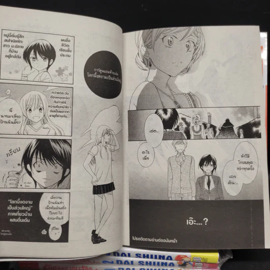 รักสองอาณาจักรที่ปลายฝน เล่ม 1-4 รูปที่ 8