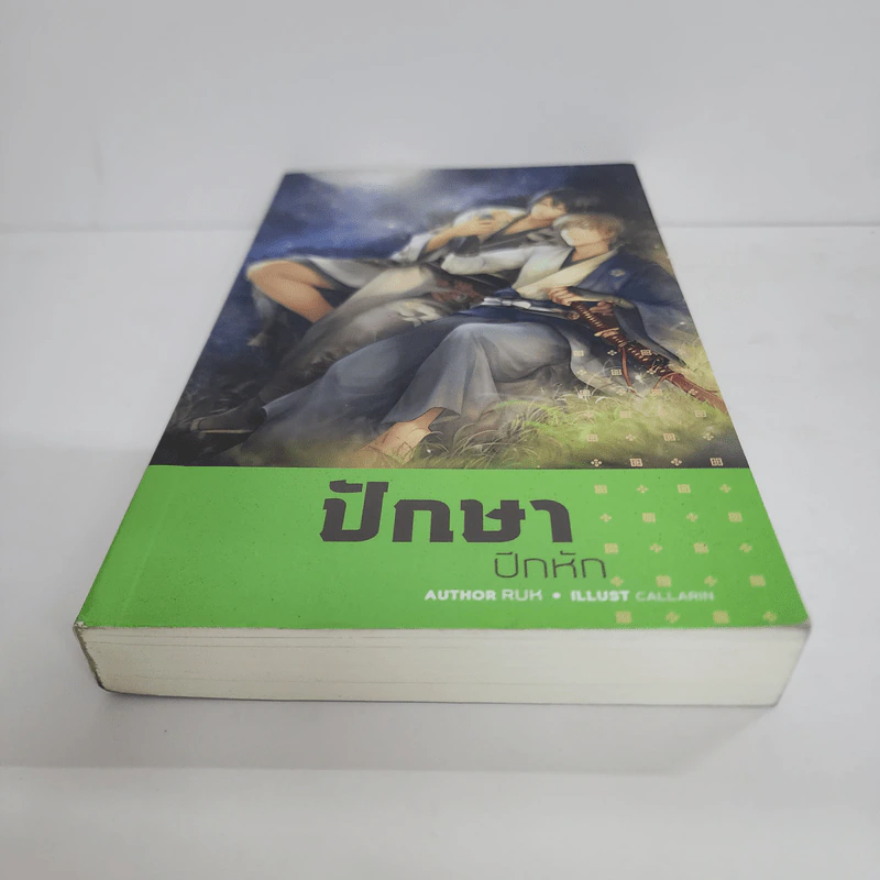 นิยายวาย ปักษาปีกหัก - Ruk รูปที่ 5