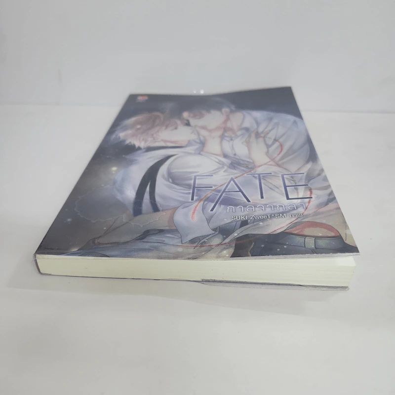 นิยายวาย Fate กาลจากลา - SUKI ZweeT*SM รูปที่ 4