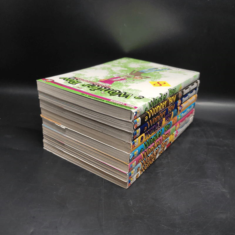 A Wonder Boy หนุ่มน้อยทะลุมิติ เล่ม 1-8 รูปที่ 4