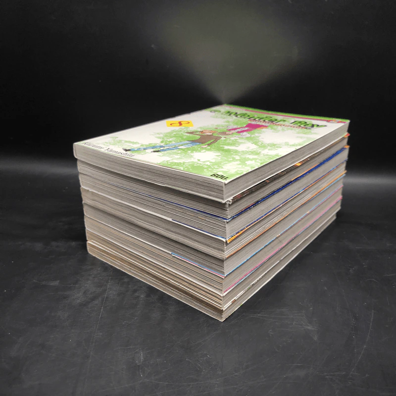 A Wonder Boy หนุ่มน้อยทะลุมิติ เล่ม 1-8 รูปที่ 3