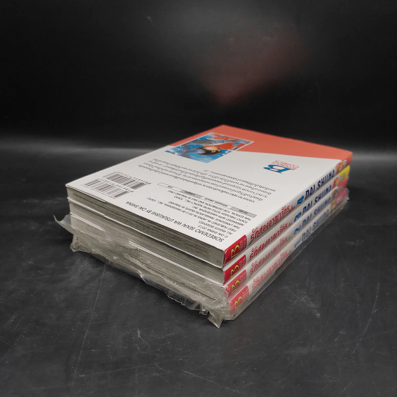 รักสองอาณาจักรที่ปลายฝน เล่ม 1-4 รูปที่ 4