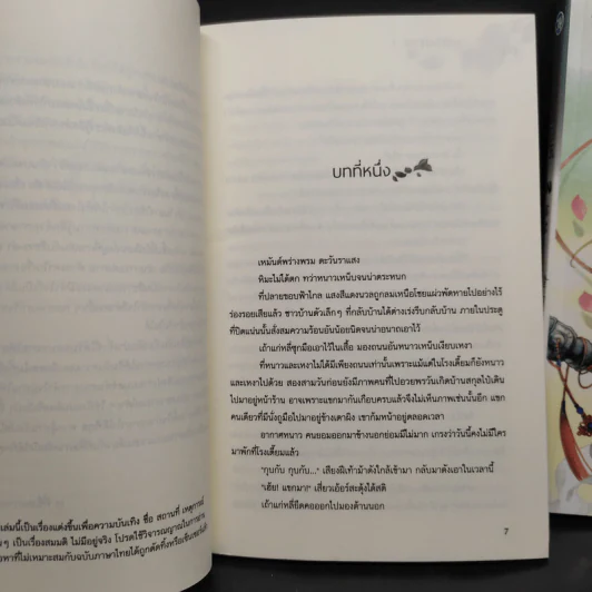 Box Set นิยายวาย มายาพันธกานต์ 2 เล่มจบ - Feng Nong (เฟิงน่ง) รูปที่ 10