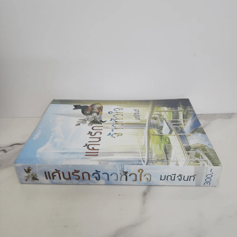 แค้นรักจ้าวหัวใจ - มณีจันท์ รูปที่ 2