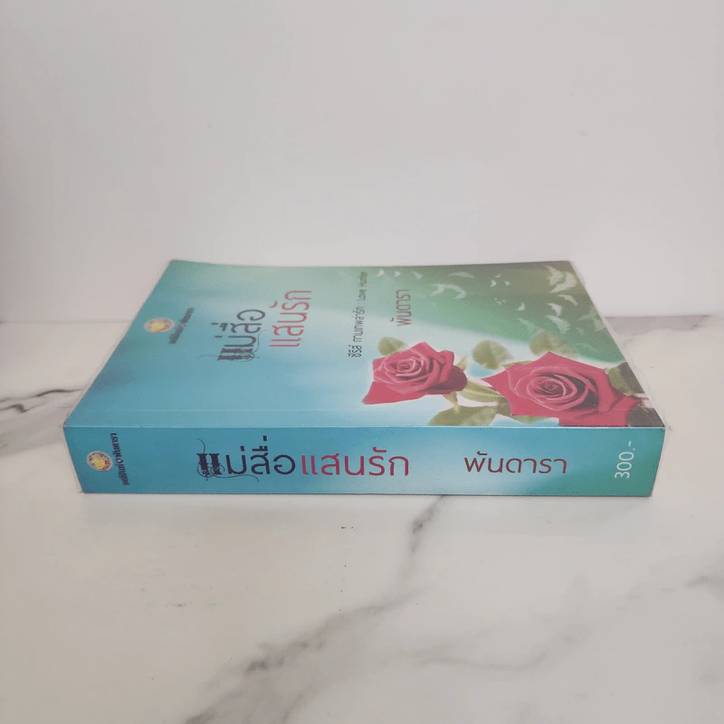 แม่สื่อแสนรัก - พันดารา รูปที่ 2
