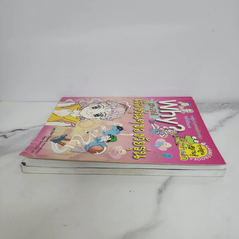 Why? ตะลุยเรื่องวุ่นๆของวัยรุ่น รูปที่ 3