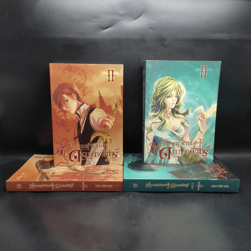ตำนานผู้พิทักษ์ ดาบศักดิ์สิทธิ์ ภาค 1-2 ครบชุด 4 เล่ม - มิริน รูปที่ 1