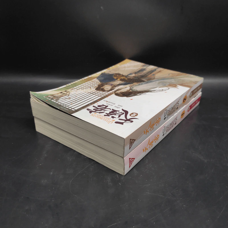 นิยายวาย นักรบพเนจรสุดขอบฟ้า 2 เล่มจบ - Priest (พีต้า) รูปที่ 5