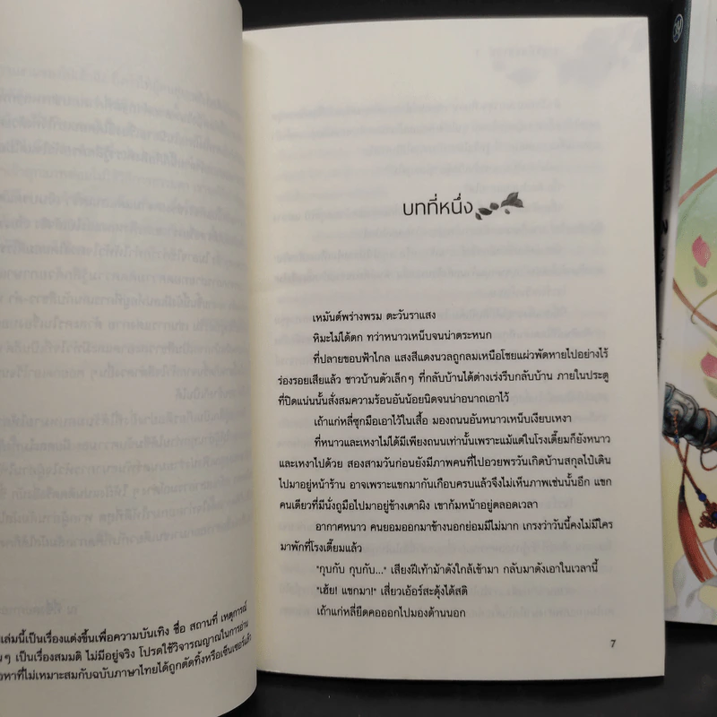 Box Set นิยายวาย มายาพันธกานต์ 2 เล่มจบ - Feng Nong (เฟิงน่ง) รูปที่ 10
