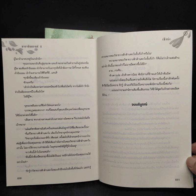 Box Set นิยายวาย มายาพันธกานต์ 2 เล่มจบ - Feng Nong (เฟิงน่ง) รูปที่ 11